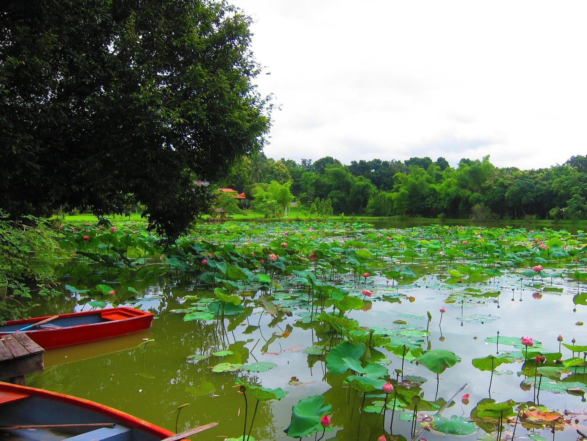 Mae Rim Lagoon Bed & Bakery Exterior photo